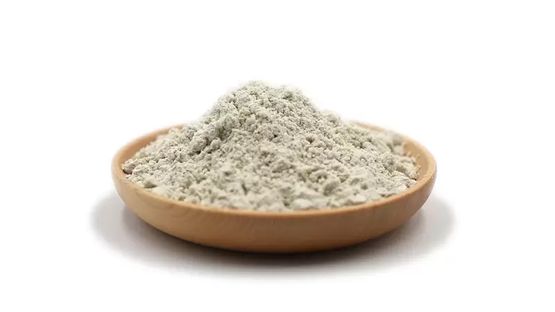 Poudre de protéines de graines de tournesol bio 1 protéine de tournesol bio