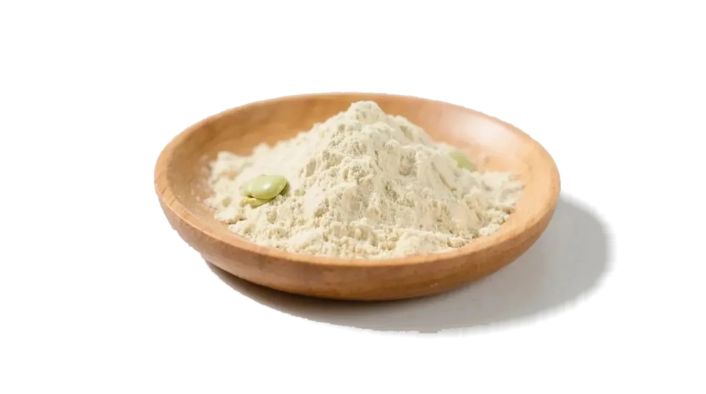 Poudre de protéines de féverole bio 1 Organic Fava Bean Protein Powder